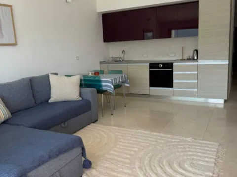 Izdavanje, jednosoban stan, 55m², Obala Đuraševića, Tivat - image 9