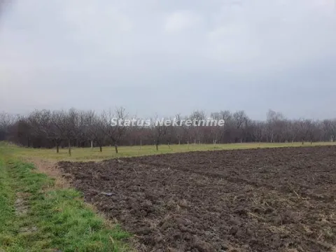 Zemljište in Inđija