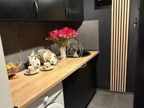 Rent, two bedroom apartment, 43m², Stari Grad, Beograd - image 7