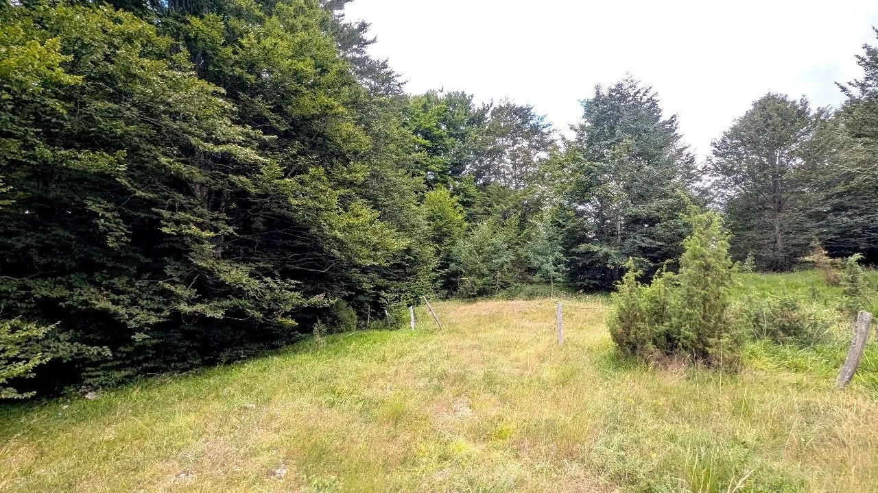 Prodaja, plac, 704m², Žabljak, Crna Gora
