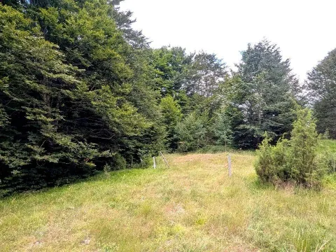 Sale, land lot, 704m², Žabljak, Crna Gora - image 25