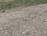 Prodaja, plac, 13300m², Kosić, Danilovgrad - image 3