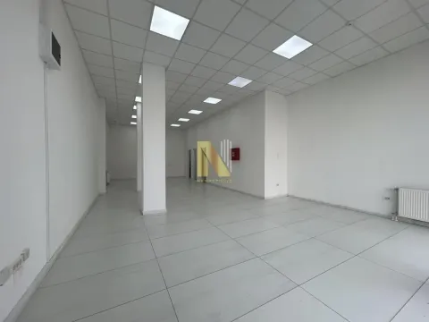 Izdavanje, poslovni prostor, 81m², Bulevar patrijarha Pavla, Novi Sad Sve Podlokacije