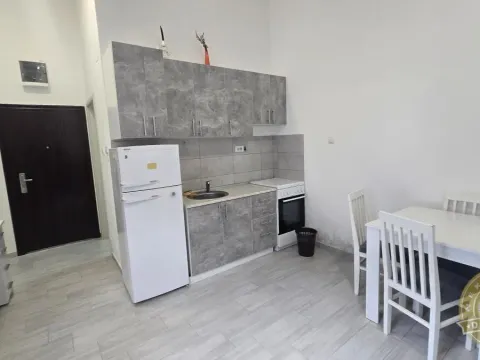 Izdavanje, garsonjera, 22m², Detelinara, Novi Sad Sve Podlokacije - image 4