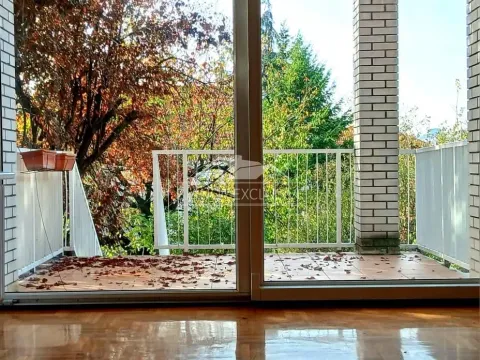 Prodaja, stan, 252m², Zvezdara Sve Podlokacije, Beograd - image 10