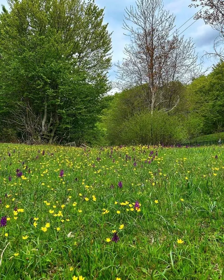 Prodaja, plac, 400000m², Podgorica, Crna Gora