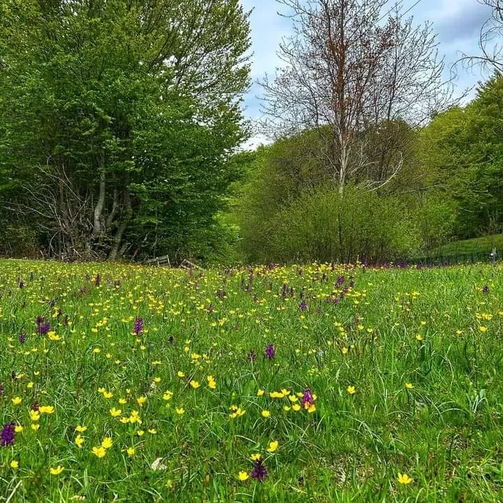 Sale, land lot, 400000m², Podgorica, Crna Gora