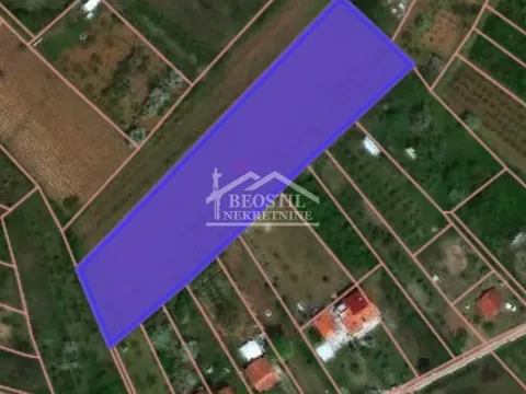 Sale, land lot, 8900m², Grocka, Beograd - image 7