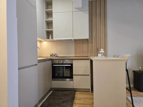 Izdavanje, stan, 26m², Zagorič, Podgorica - image 5
