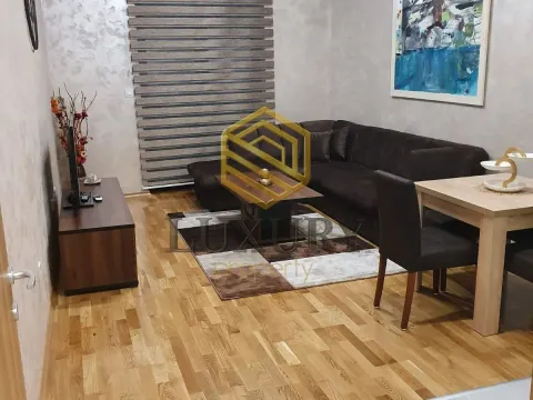 Izdavanje, jednosoban stan, 54m², Zabjelo, Podgorica - image 2