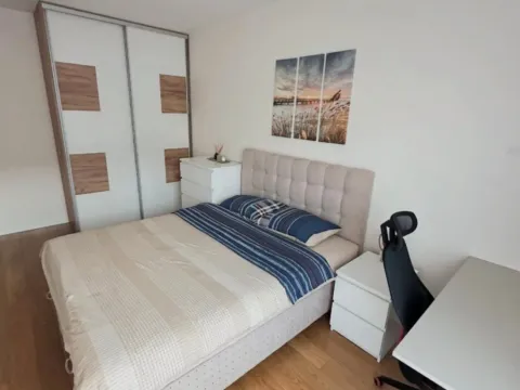 Izdavanje, jednosoban stan, 43m², Central Point, Podgorica - image 7