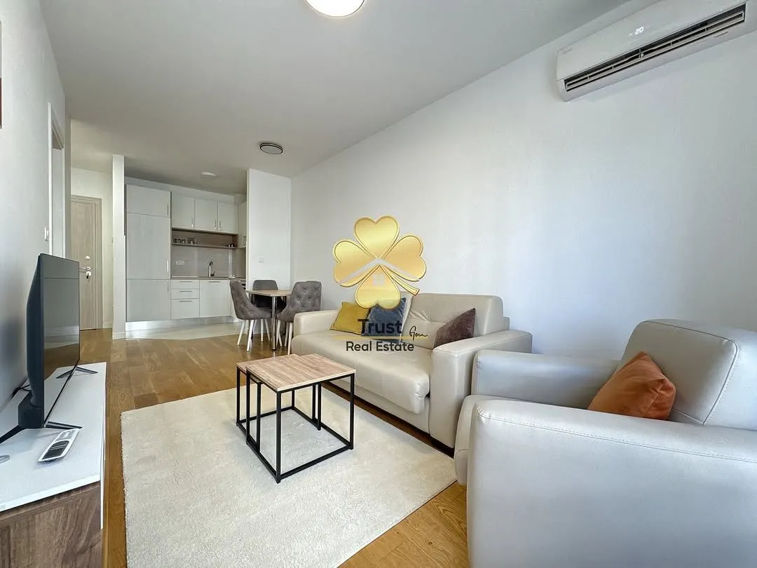 Rent, one bedroom apartment, 43m², Central Point, Podgorica