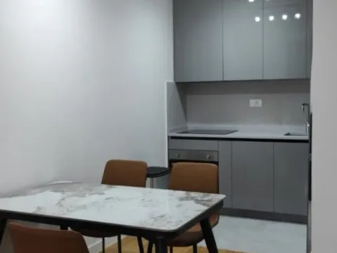 Izdavanje, jednosoban stan, 47m², Central Point, Podgorica - image 5