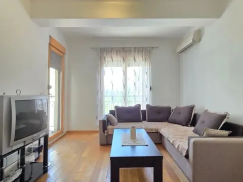 Izdavanje, jednosoban stan, 46m², Kod Big Fashion-a, Podgorica - image 3