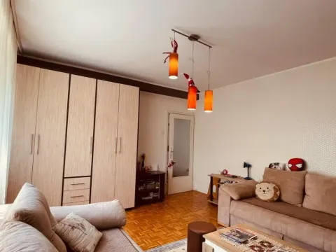 Prodaja, dvosoban stan, 56m², Padinska Skela, Palilula Sve Podlokacije - image 3