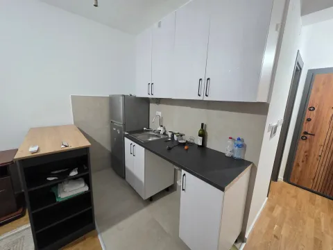 Rent, studio apartment, 30m², Zagorič, Podgorica - image 4