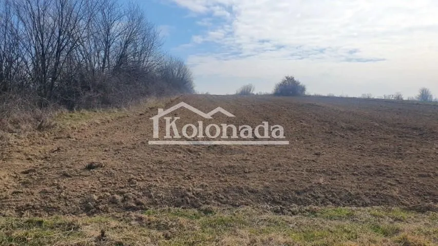 Sale, land lot, 6573m², Sopot, Beograd
