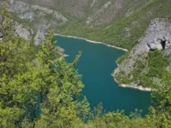 Prodaja,  zemljište, 15000m2, Seljani, Plužine