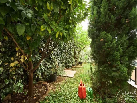 Sale, house, 495m², Bečići, Budva - image 22