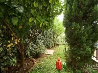 Prodaja, kuća, 495m², Bečići, Budva - image 22