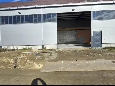 Poslovni prostor in Futog