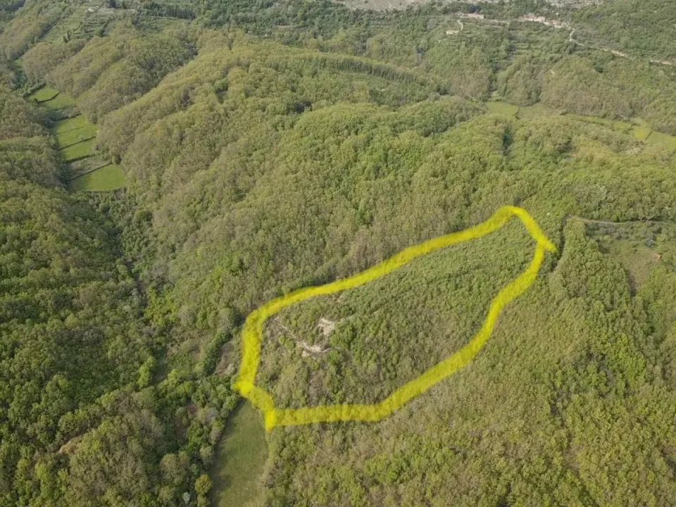 Sale, land lot, 18969m², Velja Gorana, Bar