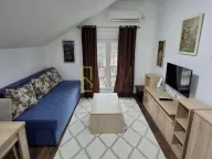 Izdavanje, garsonjera, 25m², Momišići, Podgorica