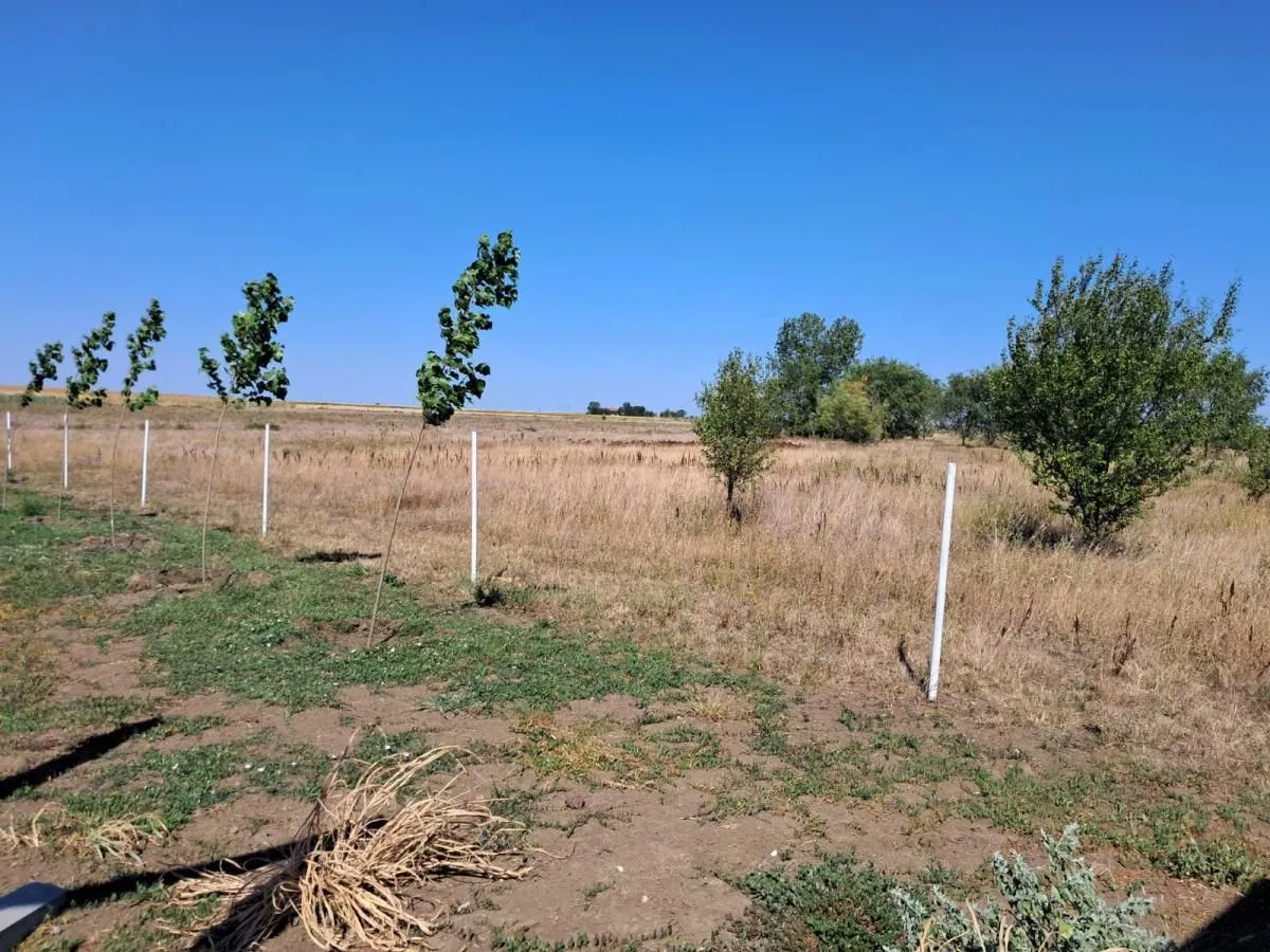 Prodaja, kuća, 35m², Elemir, Zrenjanin