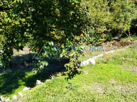 Prodaja, kuća, 210m², Podgorica, Crna Gora - image 25