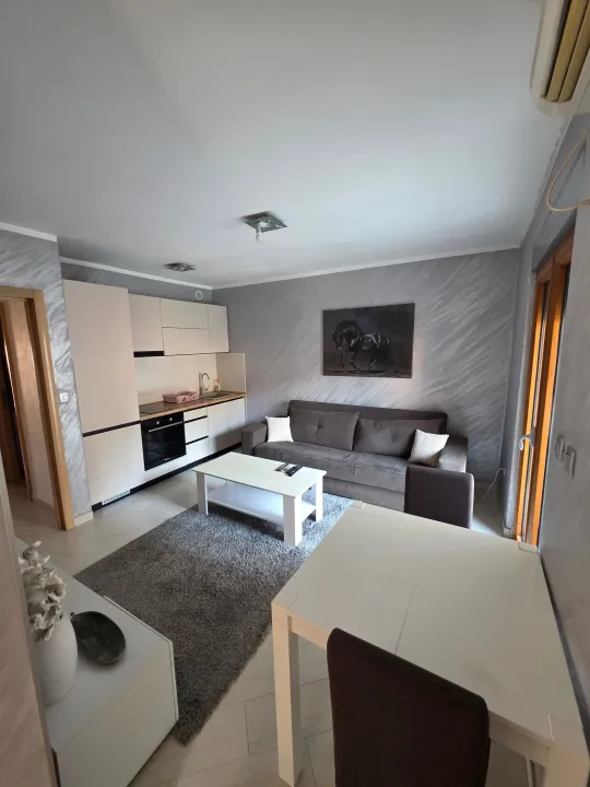 Izdavanje, jednosoban stan, 46m², Centar, Budva