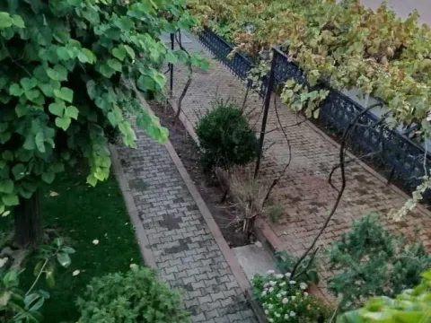 Izdavanje, kuća, 170m², Adice, Novi Sad Sve Podlokacije - image 8