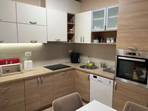 Izdavanje, jednosoban stan, 55m², Masline, Podgorica - image 4