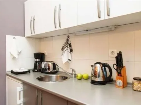 Izdavanje, dvosoban stan, 38m², Stari Grad, Beograd - image 8