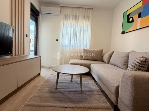 Izdavanje, jednosoban stan, 47m², Zabjelo, Podgorica - image 1