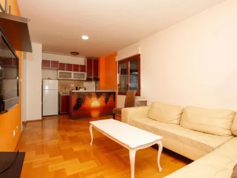 Izdavanje, jednosoban stan, 45m², Stari Aerodrom, Podgorica - image 2