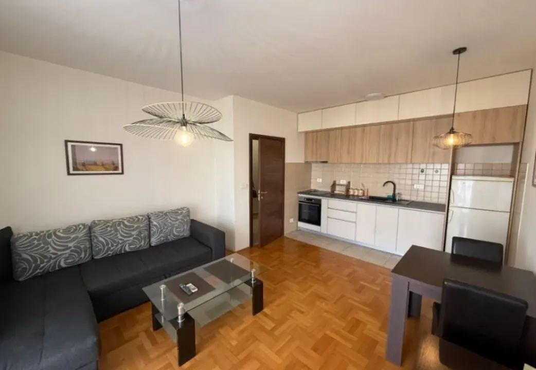 Izdavanje, jednosoban stan, 42m², Stari Aerodrom, Podgorica