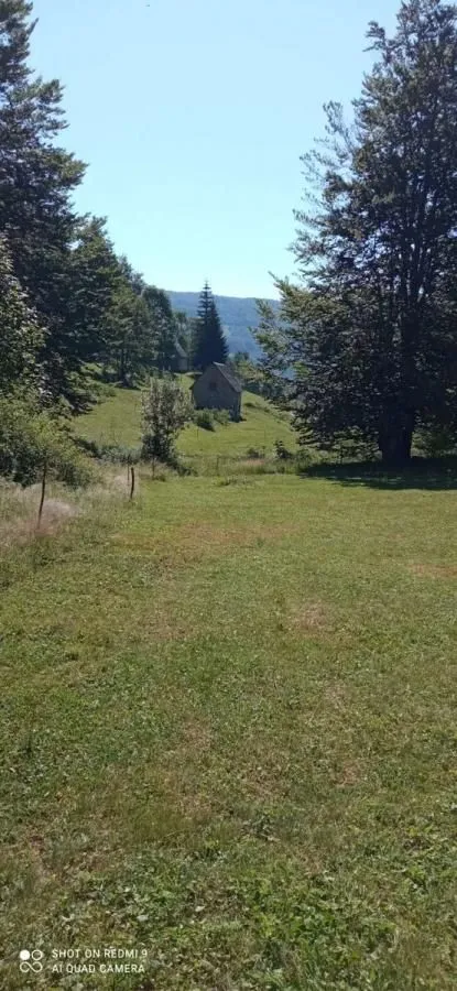 Prodaja, plac, 99100m², Donja Bukovica, Šavnik