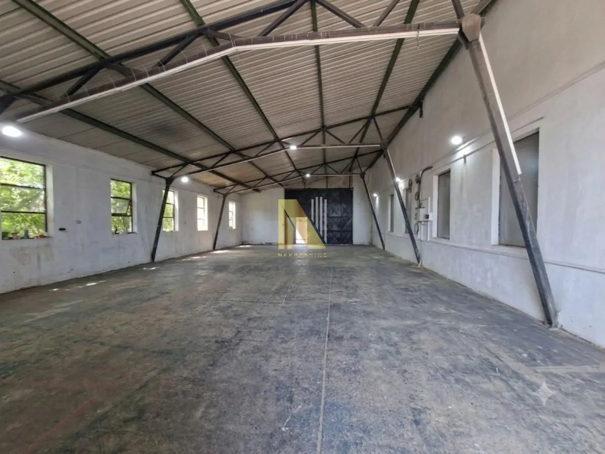 Rent, office space, 500m², Bulevar Evrope, Novi Sad Sve Podlokacije