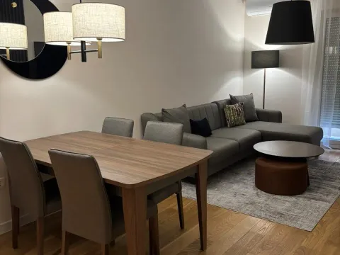 Izdavanje, jednosoban stan, 42m², Central Point, Podgorica - image 18