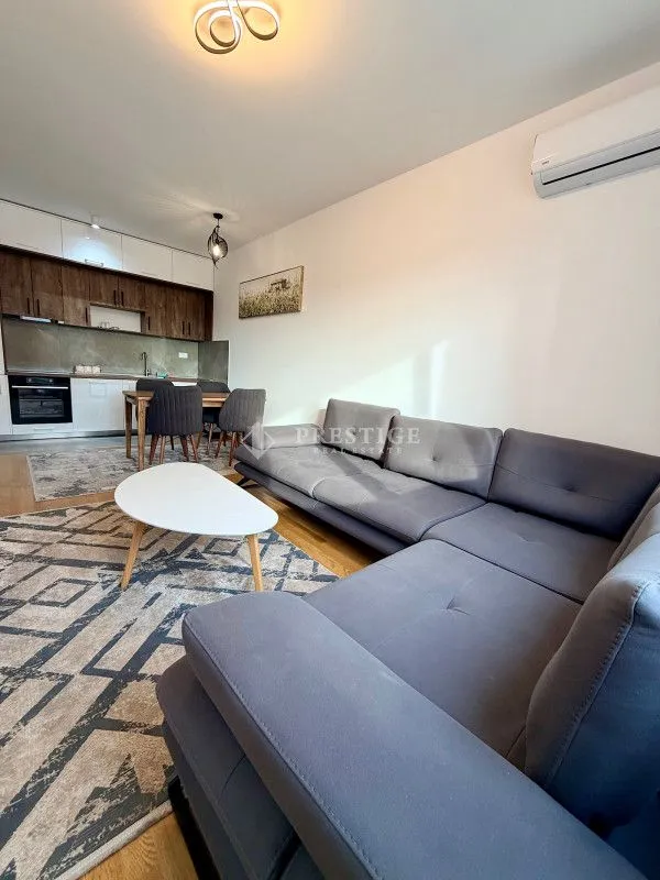 Rent, one bedroom apartment, 45m², Zabjelo, Podgorica
