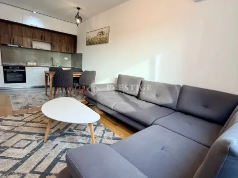 Rent, one bedroom apartment, 45m², Zabjelo, Podgorica - image 3