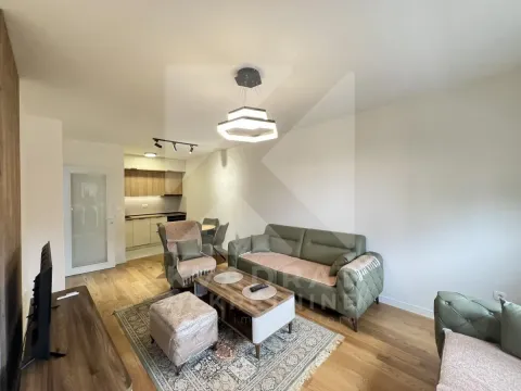 Izdavanje, jednosoban stan, 49m², Central Point, Podgorica - image 3