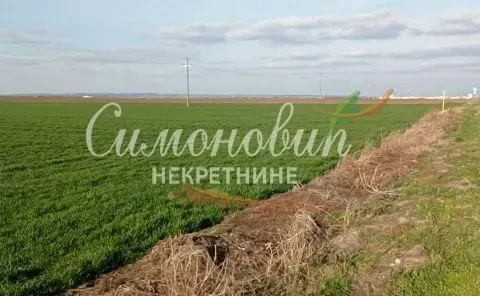 Sale, land lot, 40000m², Centar, Inđija - image 4