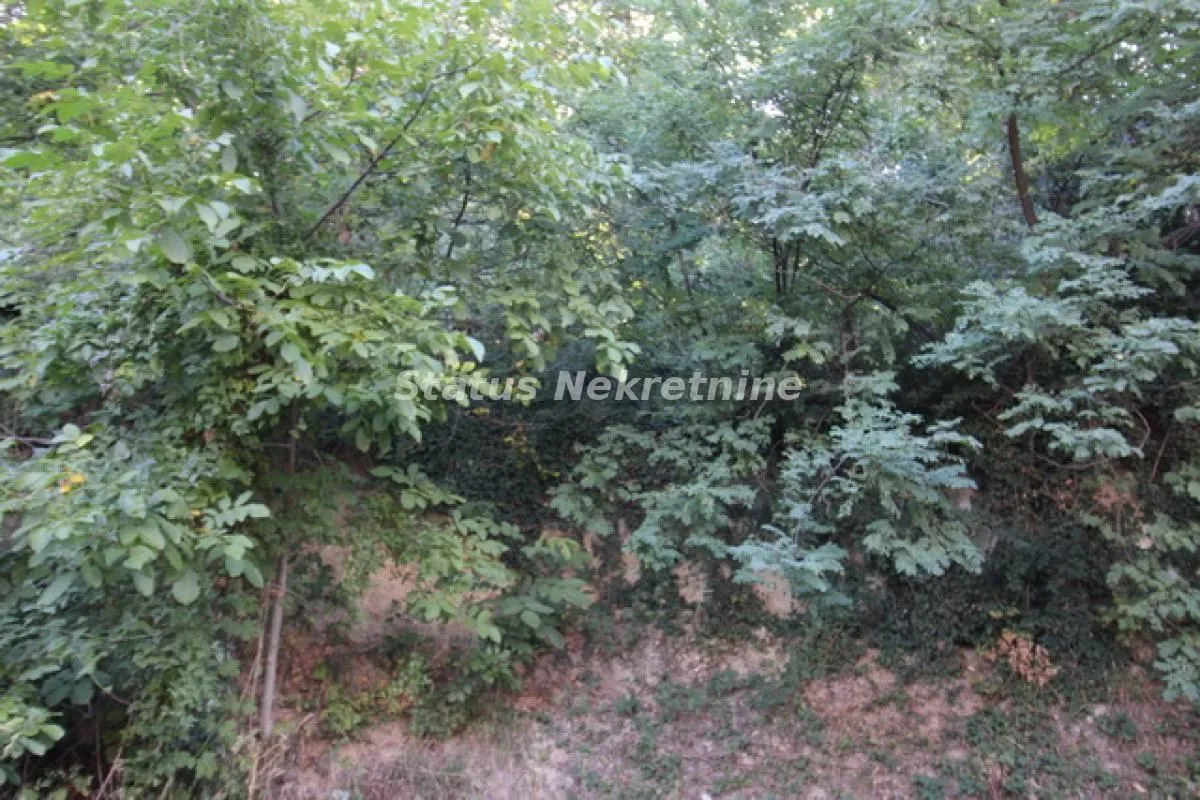 Prodaja, kuća, 198m², Sremska Kamenica, Petrovaradin