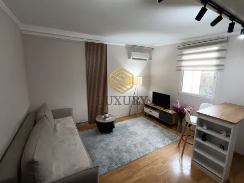 Izdavanje, jednosoban stan, 35m², Zabjelo, Podgorica - image 1