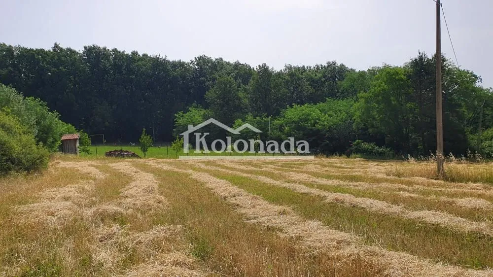 Prodaja, plac, 1500m², Dučina, Sopot