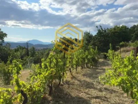 Prodaja, plac, 1272m², Doljani, Podgorica - image 4