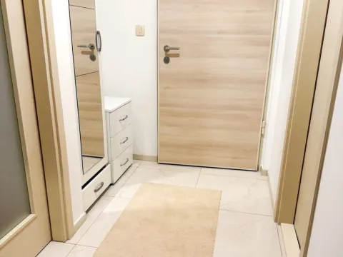 Izdavanje, stan, 46m², Zagorič, Podgorica - image 6