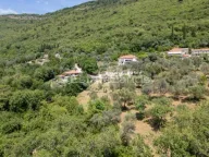 Prodaja, plac, 1160m², Kavač, Kotor - image 7