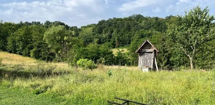Zeleno dvorište sa malim drvenim objektom i bujnom vegetacijom.